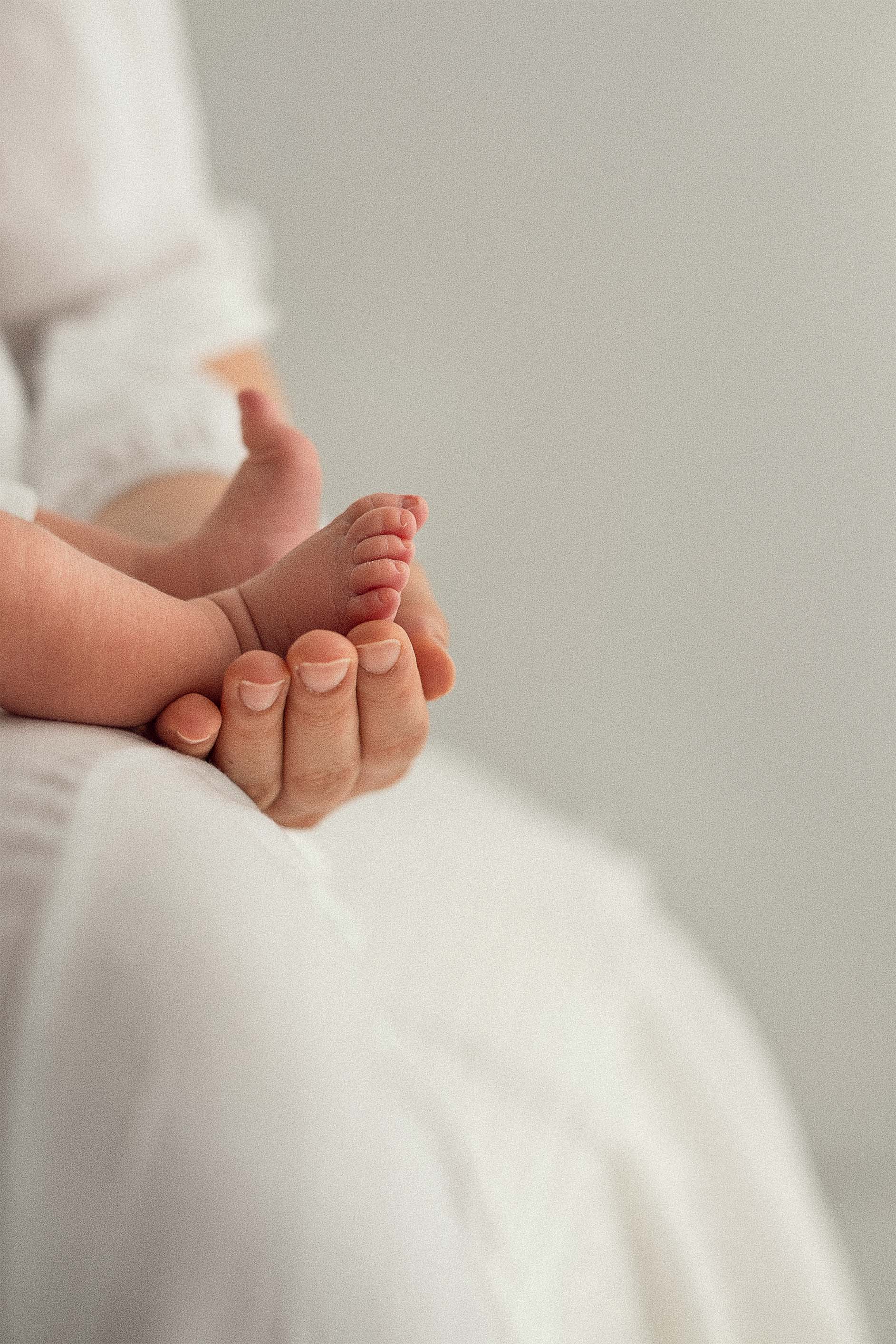 Aile Fotoğrafı